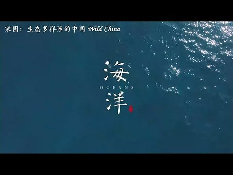 家园 生态多样性的中国 第一集：海洋 China Wild E01: Ocean