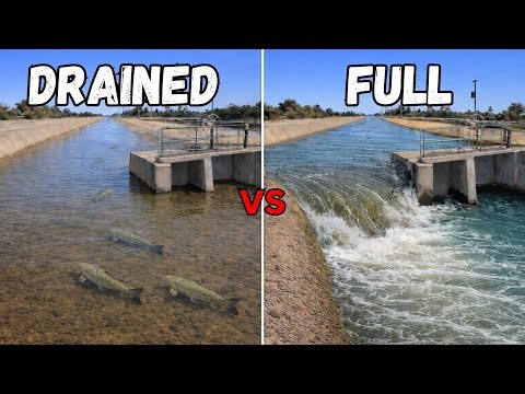 Drained Canal vs Full Canal Fishing Challenge