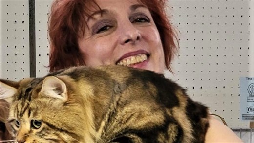 The New England cat show is coming up. Here's how you can go