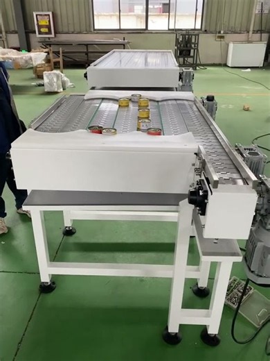 Custom Conveyor Systems & Line Integration | 300+ Projects Delivered | Amy Conveyor Engineering