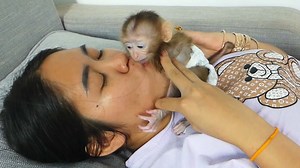 50K views · 2.6K reactions | Today Shusy Need Mom Take Care And Taking With Her Cuz She Not Happy | Monkey Dodo | Facebook