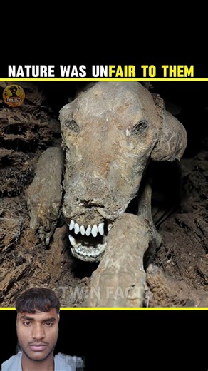 Smart Appliances! New Gadgets, Versatile Utensils, Tool Items magic trick (episode1)#shorts