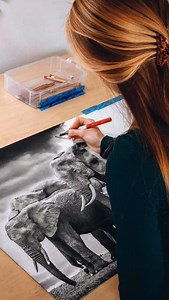 a collection of my animal drawings 🐾⁣ ⁣ ⁣#drawing #coloredpencil #animalart #animalportrait #wildlifeart #photorealism | Heather Rooney Art