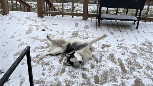 Photos capture winter weather in East Tennessee