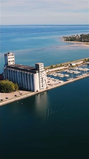 Collingwood in Conversation - An Introduction