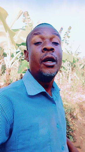 Top 10 Ugandan Movies to Watch Now