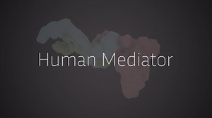 Human Mediator