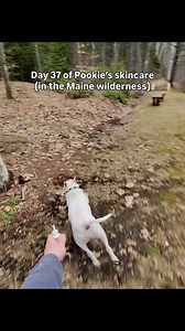 Day 37: Pookie's Wilderness Adventure!