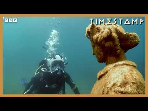 20 Minutes of BBC Documentary Discoveries | BBC Timestamp