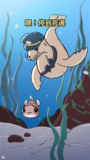 189K views · 3K reactions | 六斑二齒魨 璉 （Diodon holocanthus）又稱刺䲅，是一種行動緩慢的魚，屬於二齒魨科，他體內的河豚毒素含量比四齒魨科的河豚魚低。他會在感到威脅時吸入海水使身體膨脹，讓尖刺豎立以自我防衛。然而，變成球狀的行為可能會吸引好奇的海獅前來攻擊。 #動畫 #台語 | 軟Q魚 | Facebook