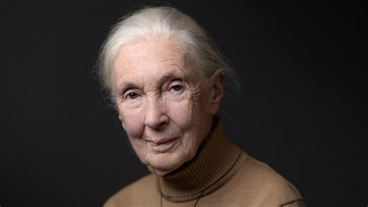 Jane Goodall Dies at 91: How Her Research Changed the World