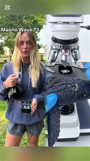 Bad audio killed stress😊 #asmr #funnyshorts