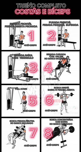 8 Exercícios Poderosos para Costas e Bíceps