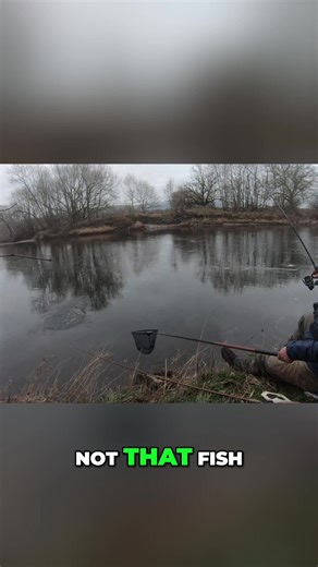 Fishing for Chub on the Ice Road at River Wye