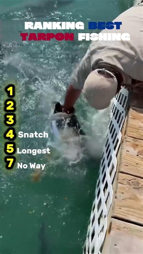 Ranking Best Tarpon Fishıng🐟​🎣#fish