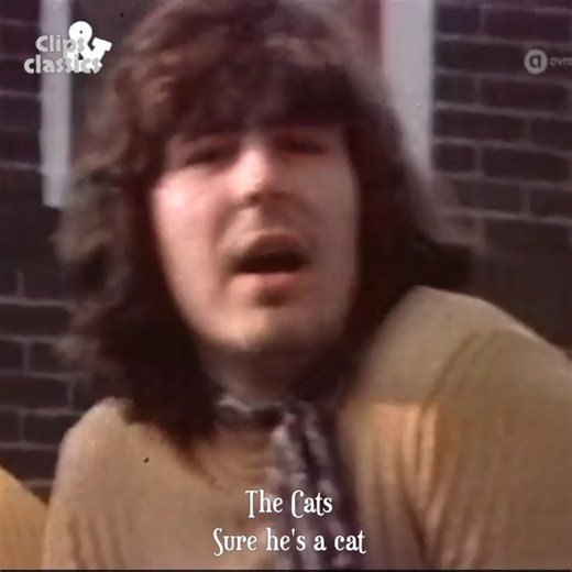 130K views · 3K reactions |  The Cats - Sure He’s a Cat ‍⬛ | Clips & Classics | Facebook