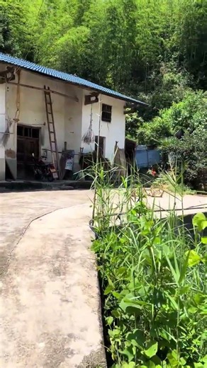 Title: Trailing My Childhood Footprints: Exploring My Hometown's Historic Houses