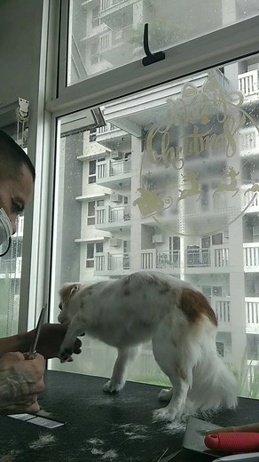 10K views · 145 reactions | Grooming tips #basictrim | Erwin De Guzman Catacutan | Facebook