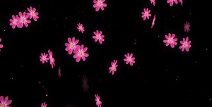 Falling Red Flower LOOP