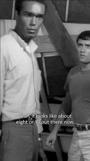 Corpses emerge from the graveyard in George A. Romero’s NIGHT OF THE LIVING DEAD. | MUBI