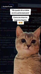 #Meme #andercode #developer #programacion #python #novia #humor #esposa | AnderCode