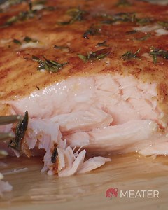 1.1K views · 289 reactions | Take your cooking to the next level with the MEATER Block. This premium meat thermometer lets you cook multiple proteins with different appliances. Make each meal a daring culinary adventure! | MEATER | Facebook