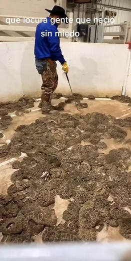 Cuentas recomendadas