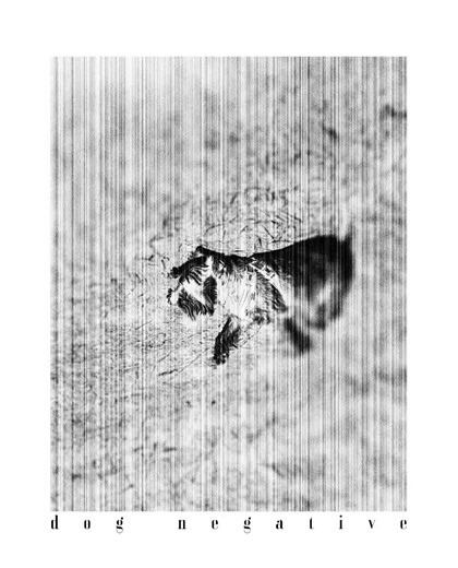 d o g n e g a t i v e grab one at negativeclothing.co.uk . . . #StreetwearPhotography #Negative #NegativeClothing #ShotByNegative #WearYourVision #NorthamptonshireStreetwear #UKStreetwear #CandidStreetwear #ModernStreetStyle #WearTheStreets #CapturedByNegative #Photography #organiccotton #cotton #prints #filmphotography #tshirts #streetwear