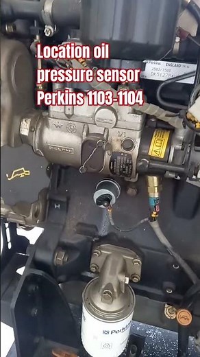 Location oil pressure sensor Perkins 1103-1104 #automobile #mechanic #mekanism #perkins