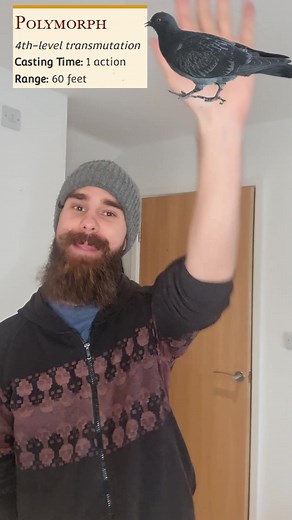 Weird Things You Can Do In DnD - Polymorph Postal Service