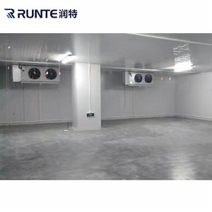 [Hot Item] Runte Brand Vegetable Fruit New Hot Sale Modular Potato Cold Store Fruit and Vegetables Prefabricated Freezer Room Cold Storage Room