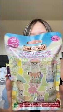 the BEST Calico Critter Unboxing 🥹