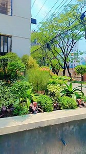 আসসালামু আলাইকুম..... আপনারা যারা ল্যান্ডস্কেপিং করবেন বলে ভাবছেন এবং বাজেট সম্পর্কে একটি নির্দিষ্ট ধারণা চাচ্ছেন।। এর সকল কিছুই পাবেন আমাদের কাছে। আমাদের আছে অভিজ্ঞ টিম মেম্বার, আছে নিজস্ব বাগান। উন্নত বিশ্বের সাথে তাল মিলিয়ে আমরা আপনাদেরকে আধুনিক একটি ল্যান্ডস্কেপিং করে দেওয়ার নিশ্চয়তা রাখি। এছাড়াও যেকোন পরামর্শ নিতে যোগাযোগ করুন আমাদের সাথে।। ধন্যবাদ... Visit our website to learn more.. W𝗲𝗯𝘀𝗶𝘁𝗲: https://www.nurgardenbd.com/ -- 𝗦 𝗨 𝗣 𝗣 𝗢 𝗥 𝗧 -- 880-1616464556 ( 𝘞𝘩𝘢𝘵𝘴𝘈𝘱�