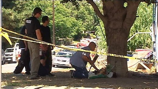 Wenatchee fire that killed 2 boys declared arson