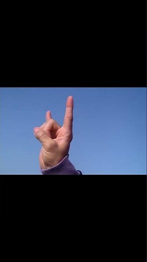 Go Web Go (Spider-Man?)