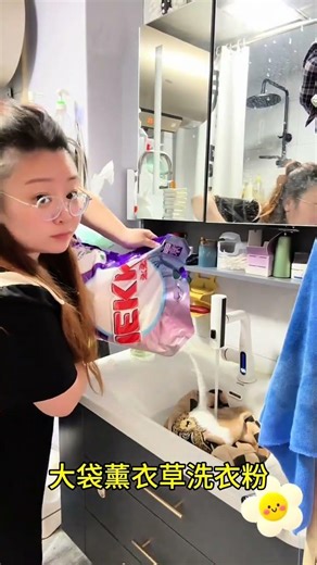 10-Pound Laundry Bag Test: Will It Break? HeavyLoadChallenge LaundryDetergent