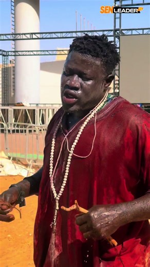 Zoo technique Way | zoo technique