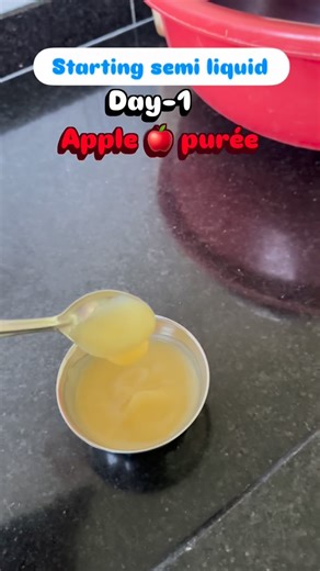 Agastya Patil on Instagram: "Steamed Apple Purée Recipe (6+months) 1. Take an apple, peel it, and cut it into small square pieces. 2. Steam the apple for about 15 minutes until it turns soft. 3. Once steamed: • If you want a smooth consistency, grind the apple to make a purée. • For babies 8 months or older, you can simply mash the apple with a fork instead of grinding it. And that’s it—your apple purée is ready! It’s healthy, full of nutrients, and perfect for your little one. Follow @agastya_p