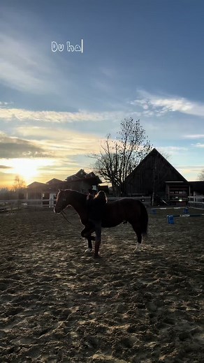 Endlich gibt’s n Tutorial 🤩 #tutorial #equestrian #horses