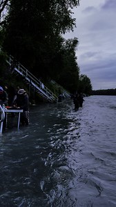 Combat salmon fishing in Soldotna Alaska !! #fishing #Alaska | Set it, Snag it, Dip it Alaska