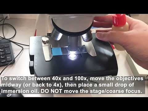 FOCUSING A SPECIMEN UNDER THE MICROSCOPE LETTER E