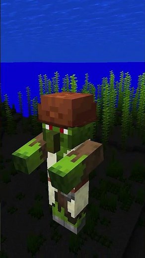 269 Minecraft Things You Didn't Know Existed!