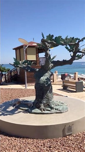 Fig Tree Bay ☀️ Protaras, Cyprus