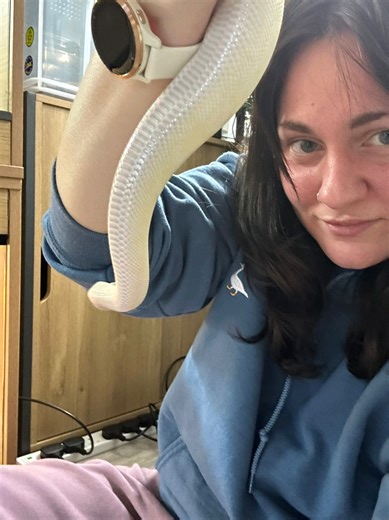 Aurora here is helping me showcase one of the surprising similarities between dogs and reptiles. We all know dogs noses are crazy powerful and the can create 3D “maps” of scent thanks to the vomeronasal organ on the roof of their mouths. Each nostril can work independently collecting smells and telling them what direction things are in. If you’ve ever done scentwork with your dogs you’ve seen this amazing superpower in action. Well our snakeys have the same organ only, instead of sniffing, the s