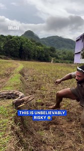 Man captures large python in dramatic encounter