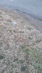 45K views · 648 reactions | Edit: I pointed the wrong direction. They...