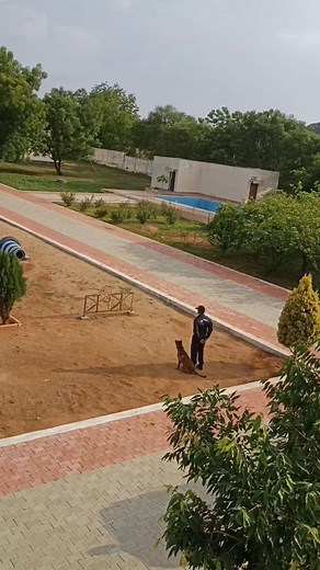130 reactions · 4 comments | Telangana Dosg squad .code name -killer crossing the obstacle like it's a species of cake  | Binde Tamin | Facebook