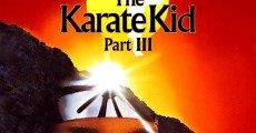 Karate Kid III, el desafío final (1989)  - Ver Película Completa en Español - FULLTV