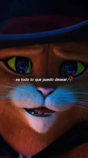 🙇🏽‍♂️🥀🍃 | gato con botas