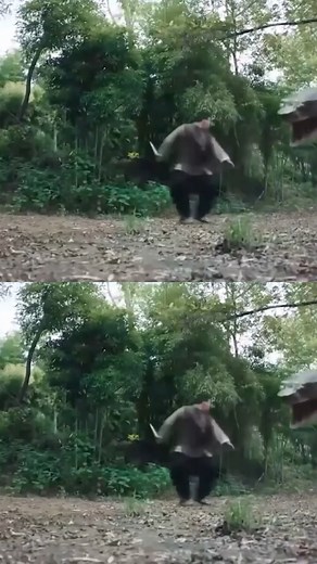 🐍Snake catcher traps python, and injures the python with an arrow | 经典大本营